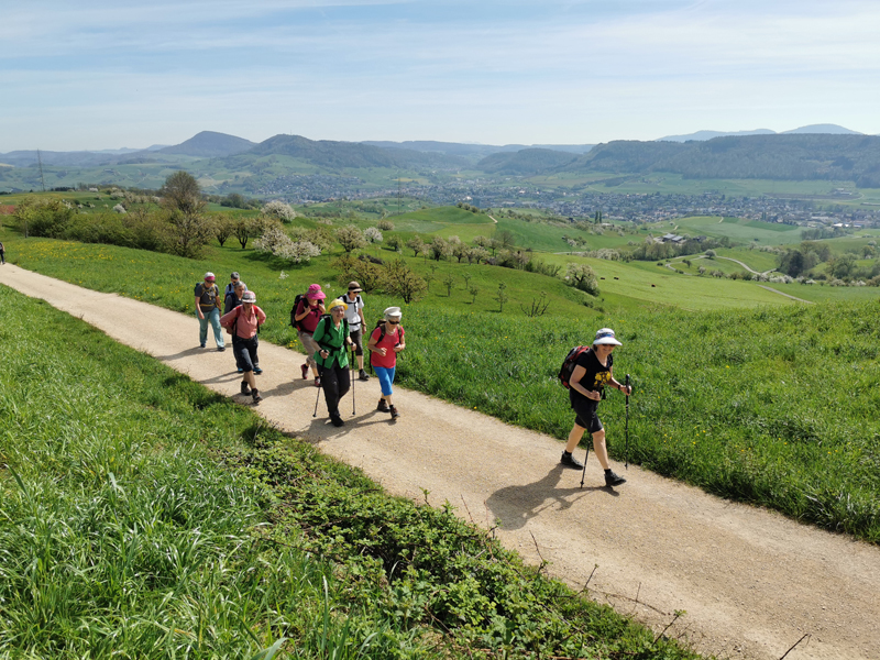 Aargauer Weg – Wanderweg im Aargau