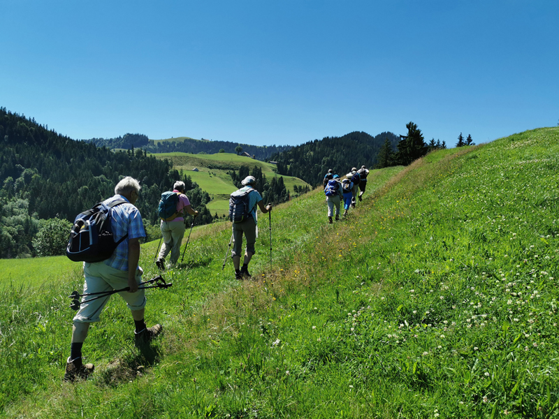 Alpenpanoramaweg