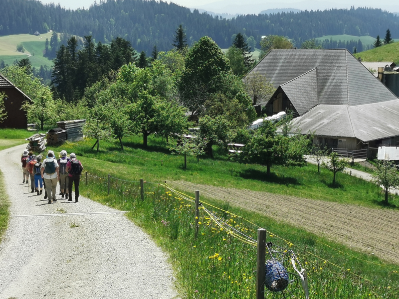 Alpenpanoramaweg