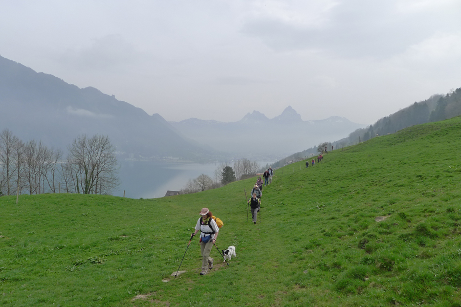 Jakobsweg Schweiz
