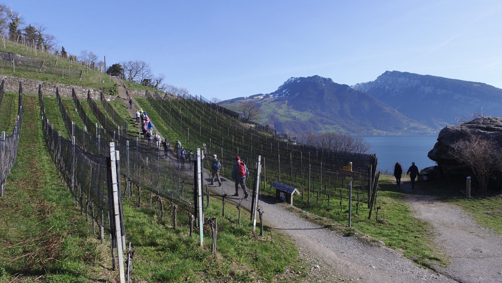 Jakobsweg Schweiz