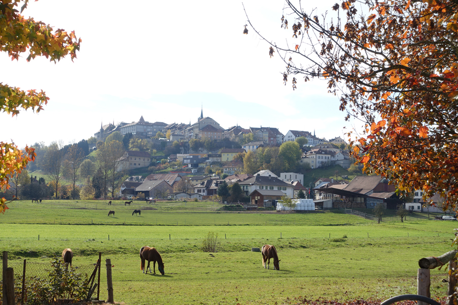 Jakobsweg Schweiz