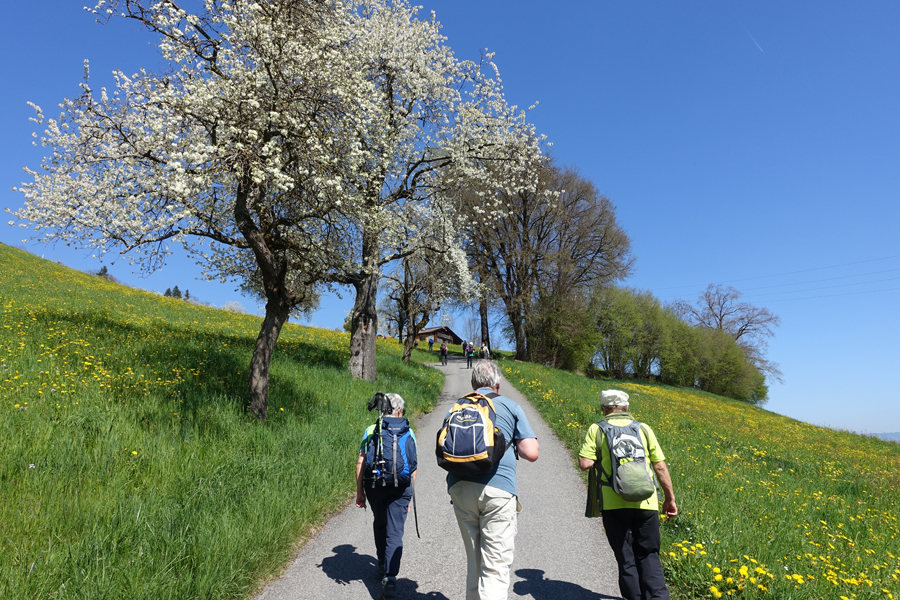 Jakobsweg Schweiz