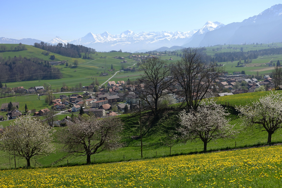 Jakobsweg Schweiz