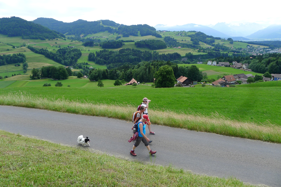 Jakobsweg Schweiz